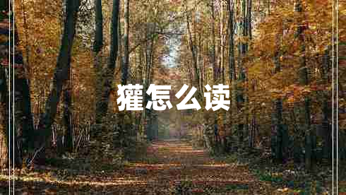 獾怎么讀