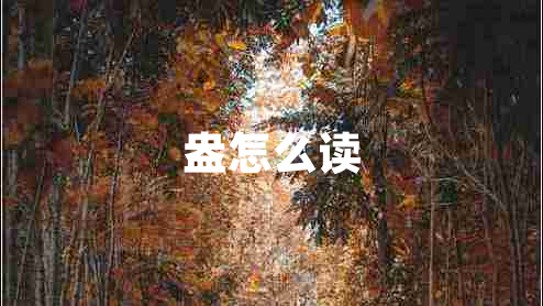 盎怎么讀