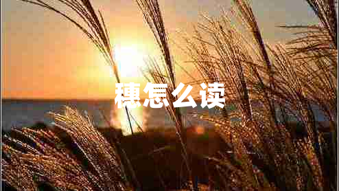 穗怎么讀