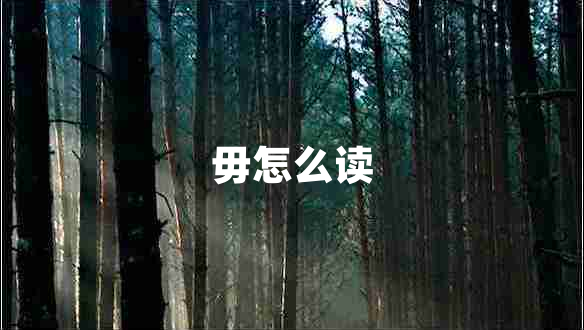 毋怎么讀