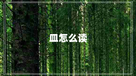 皿怎么讀