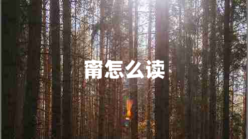 甯怎么讀