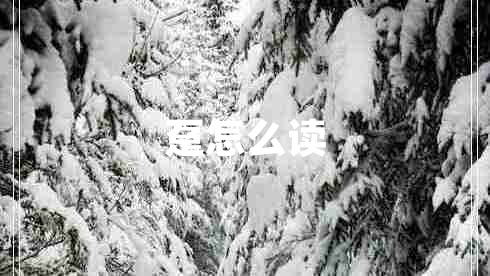 躉怎么讀