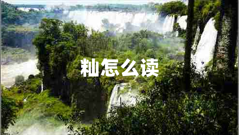 秈怎么讀