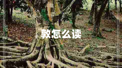 敦怎么讀