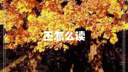 丕怎么讀