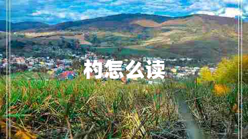 杓怎么讀