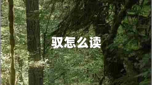馭怎么讀