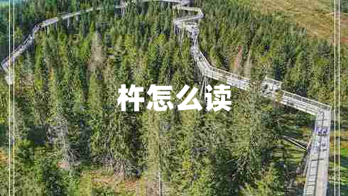 杵怎么讀