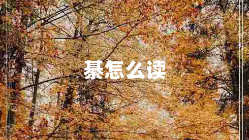 綦怎么讀