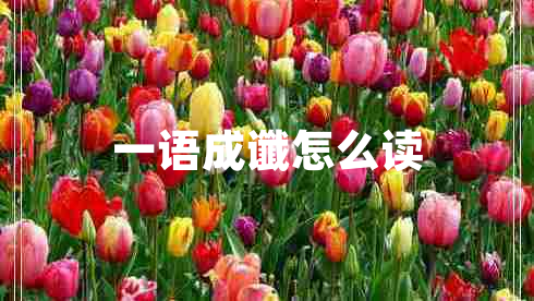 一語(yǔ)成讖怎么讀