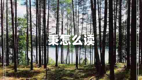 秉怎么讀