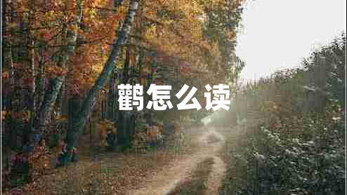 鸛怎么讀