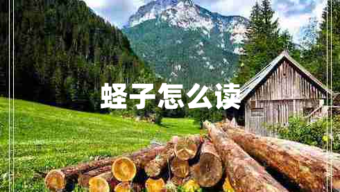 蟶子怎么讀