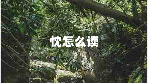 忱怎么讀