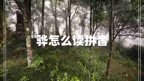 驊怎么讀拼音