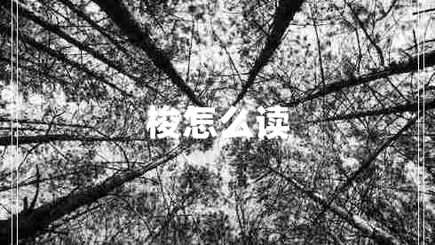 梭怎么讀