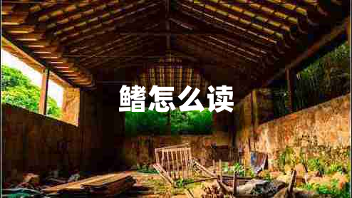 鰭怎么讀