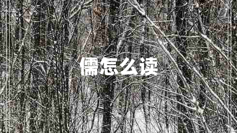 儒怎么讀