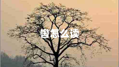 轡怎么讀