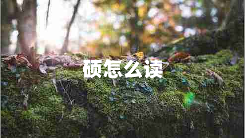 碩怎么讀