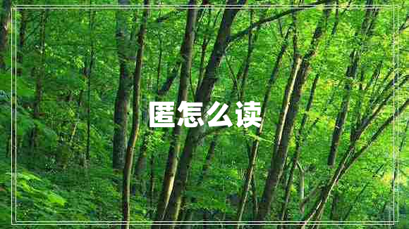 匿怎么讀