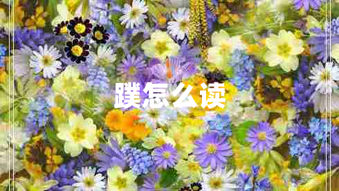 蹼怎么讀