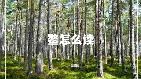 鰲怎么讀