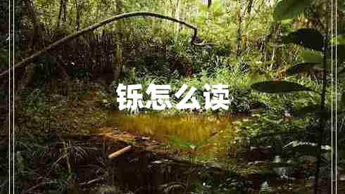 鑠怎么讀
