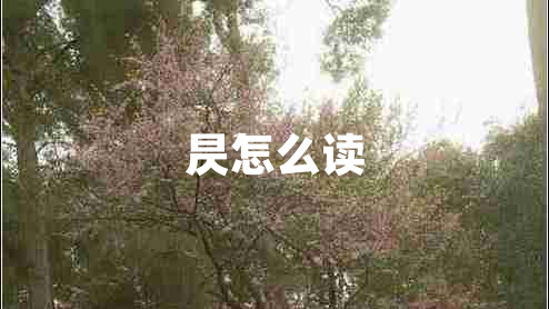 昃怎么讀