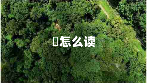 翃怎么讀