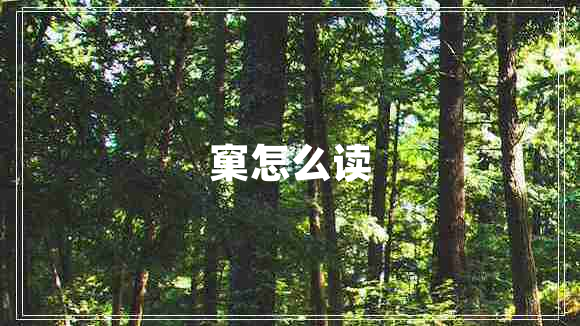 窠怎么讀