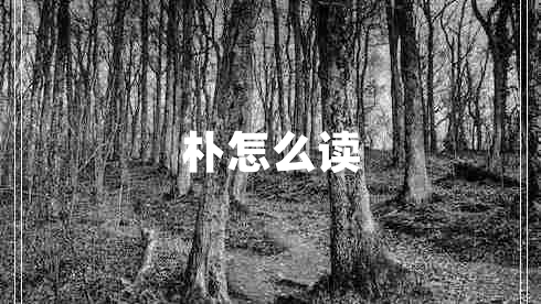 樸怎么讀