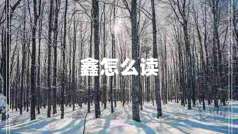 鑫怎么讀