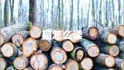 韜怎么讀