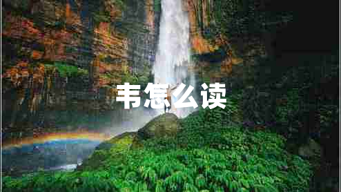 韋怎么讀