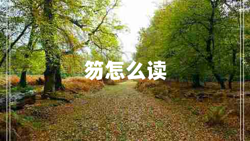 笏怎么讀