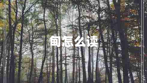 甸怎么讀