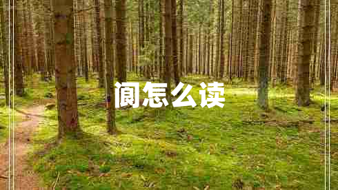 閬怎么讀
