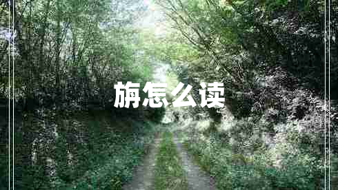 旃怎么讀
