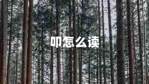 叩怎么讀