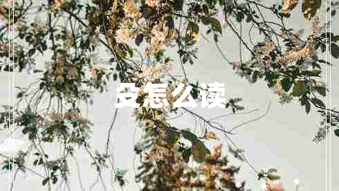 殳怎么讀