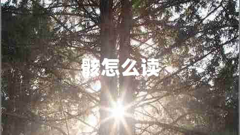 骸怎么讀