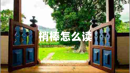 梢棒怎么讀
