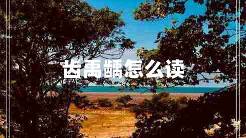 齒禹齲怎么讀