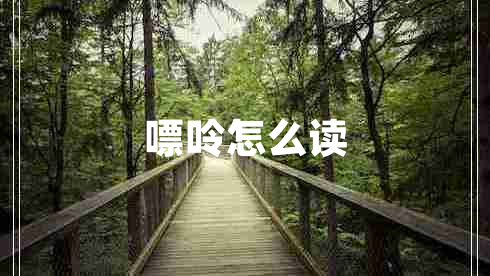 嘌呤怎么讀