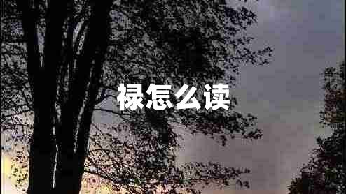 祿怎么讀