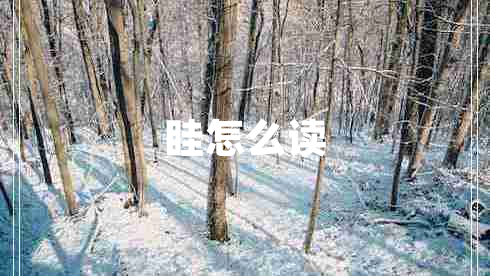 眭怎么讀