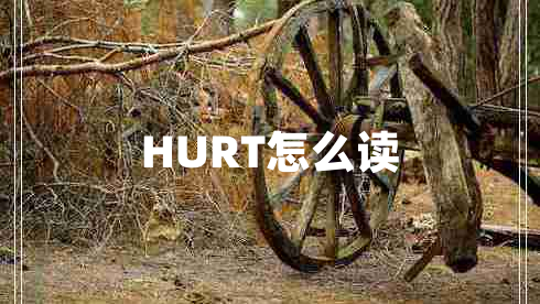 HURT怎么讀