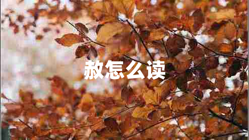 赦怎么讀